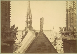 Notre Dame de Paris. View from Tower with Chimeras and Gargoyles 