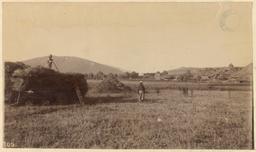 Haynes in Anatolia, 1884 and 1887: Haying in an Anatolian village