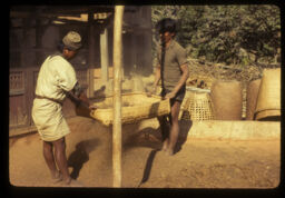 manisharu kodoko bhus nifandai (मानिसहरु कोदोको भुस निफन्दै / People Winnowing the Chaff of Millet)