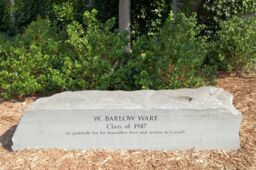 W. Barlow Ware Memorial Bench