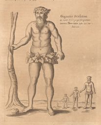 Mundus Subterraneus, 3rd edition: Giants