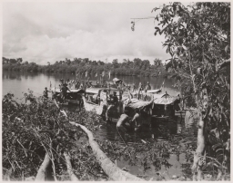 Borneo. Douwes Dekker Photograph of Death Rituals