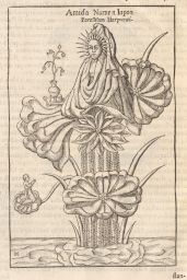 Oedipus Aegyptiacus: Amida on the lotus