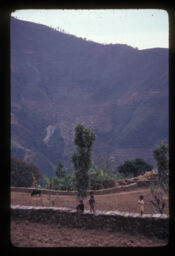 Mahanegaun pari aduwa bari Tupachheko drisya (म्हनेगङ् पारी अदुवाबारीको दृश्य / Mani Village and Tupache Ginger Field)