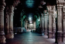 Meenakshi Sundaresvara Temple