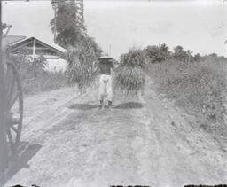 Young boy carrying grain near Manila