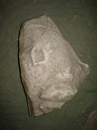 Plinth, fragment