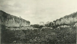 Walls of the Tlachtli (Ball) Court, Chichén Itzá      