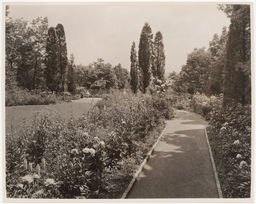 Bulkley "Rippowam" garden, dirt path through plants and trees