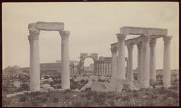 Wolfe Expedition: Palmyra, Baths of Diocletian