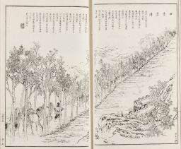 Illustration and description of trees planted by army of Zuo Zongtang along roadways in Gansu province.