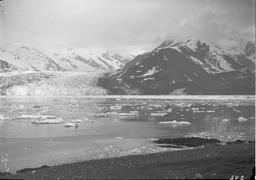 Long Focus Panorama (291-292-293) of Turner Glacier, Ect. From Osier Island