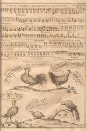 Musurgia Univeralis: Bird songs