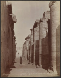 Abydos colonnade du Memnonium