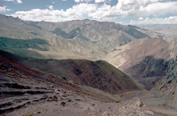 Ladakhi Landscape