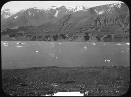 Yakutat Bay. Dissected gravel terrace on north side of Nunatak Fjord
