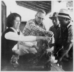 Blanca Rodriguez, Paul Doughty, Tobias Vilasques, cutting suckling. Roast pork dinner.