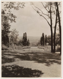 Bulkley "Rippowam" garden, vista of yard and hills through trees