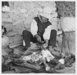 Preparing dried meat Preparando charqui