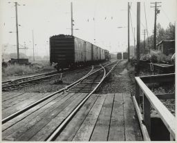 Freight Cars on Railroad Tracks