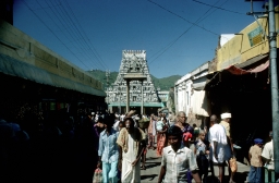 Venkatesvara Temple