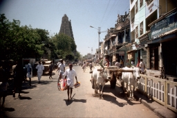 Gopura, Buses, Oxen, and Figures