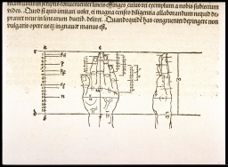 [Proportions of the human hand] (from Dürer, Proportion)