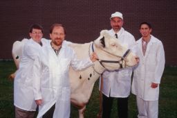 Vet School microbiology researchers with a cow.