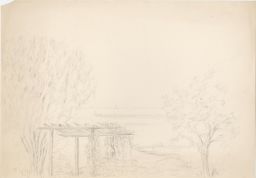 Untitled - Sketch of Vineyard Overlooking Lake