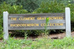 Clement Bowers Rhododendron Collection