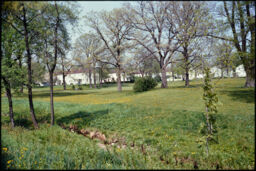 Park and housing (Greendale, Wisconsin, USA)