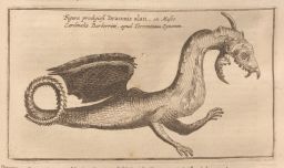 Mundus Subterraneus, 3rd edition: Dragon in the Barberini Museum