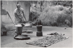 Householder winnowing millet