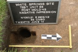 Negative Impression of Post Mold 49 at the White Springs Site