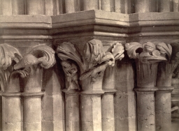 "Fox and Goose" Capital, Wells Cathedral      
