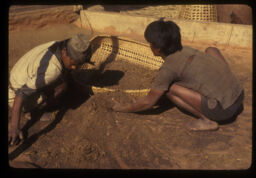 manisharu kodoko bhus nifandai (मानिसहरु कोदोको भुस निफन्दै / People Winnowing the Chaffs of Millets)