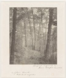Engraving of a Wooded Path