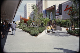 Landscaping in downtown pedestrian mall (Waterfront Area, Sacramento, California, USA)