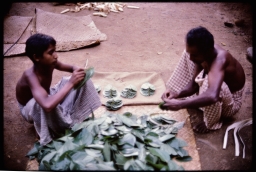 Householders sorting betel leaves for sale