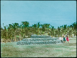 Possible Samoan burial mound