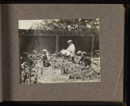 Children working in a garden.