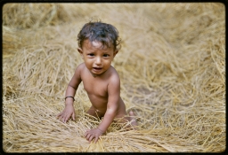 Child playing in paddy straw at threshing floor